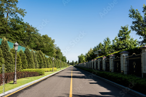 Wallpaper Mural shadows on road near green trees with leaves in summer Torontodigital.ca