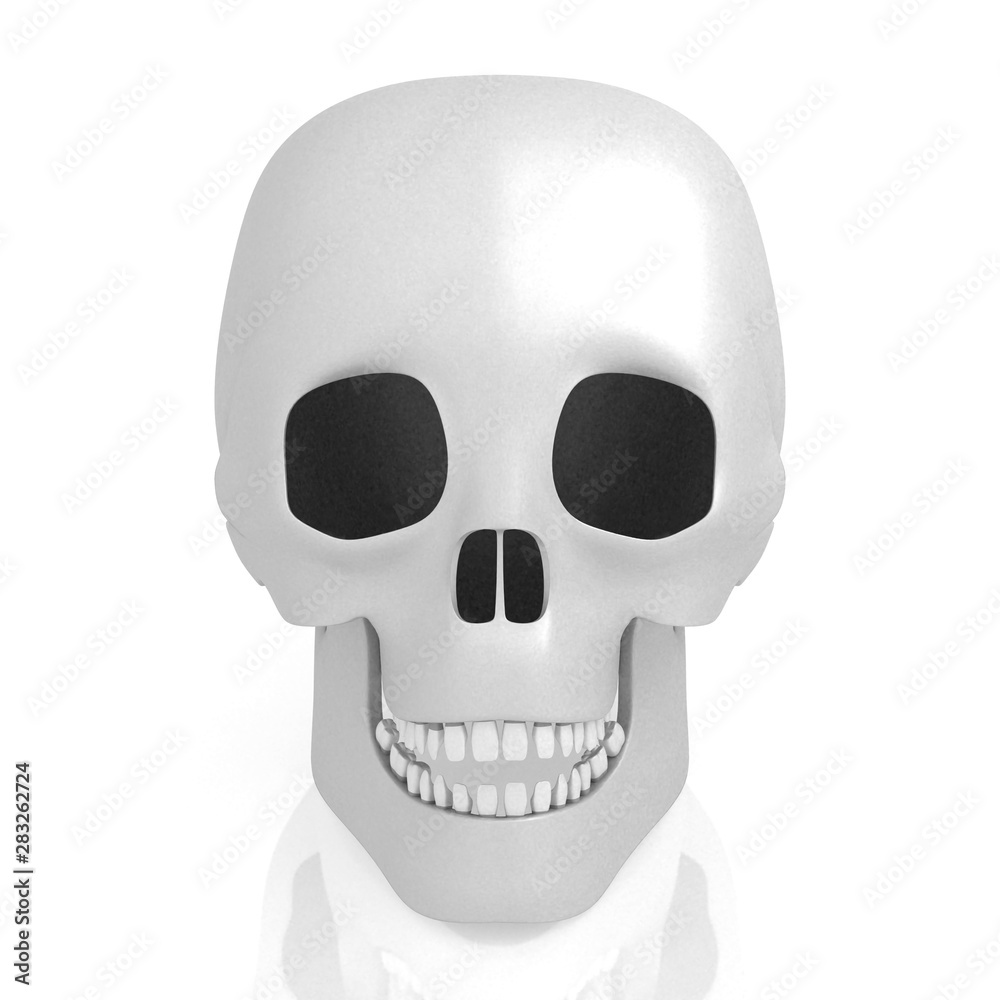 Fototapeta premium 3D human skull on white background