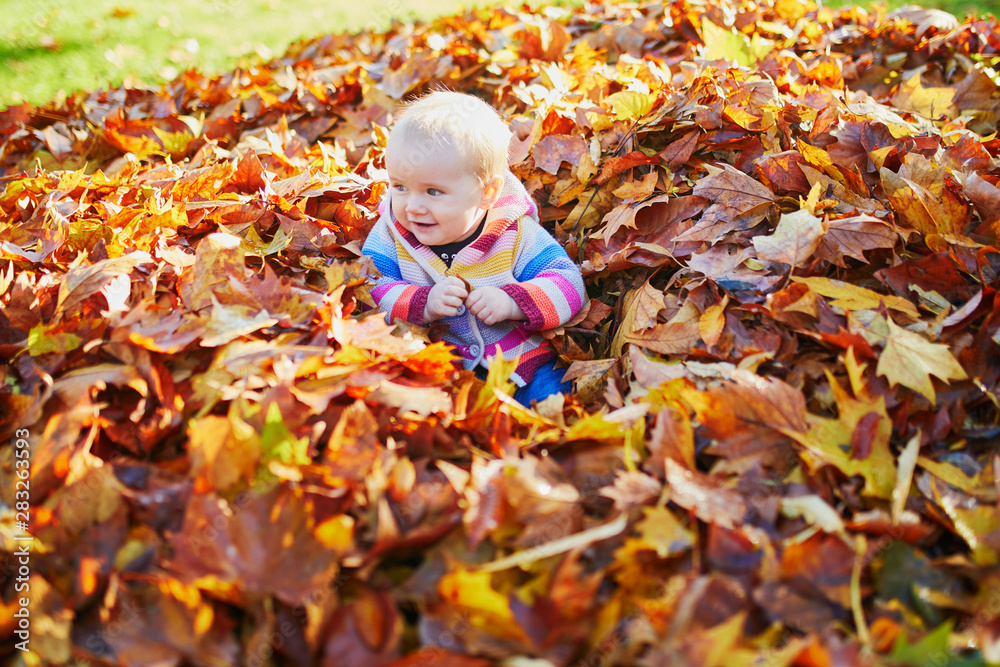 girl sitting in large heap of colorful autumn leaves on a fall day in park girl sitting in large heap of colorful autumn leaves on a fall day in park