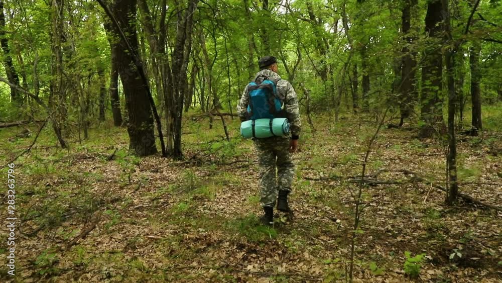 The camera moves behind a caucasian traveler in a camouflage cap and a backpack walking through a dense green forest The camera moves behind a caucasian traveler in a camouflage cap and a backpack walking through a dense green forest