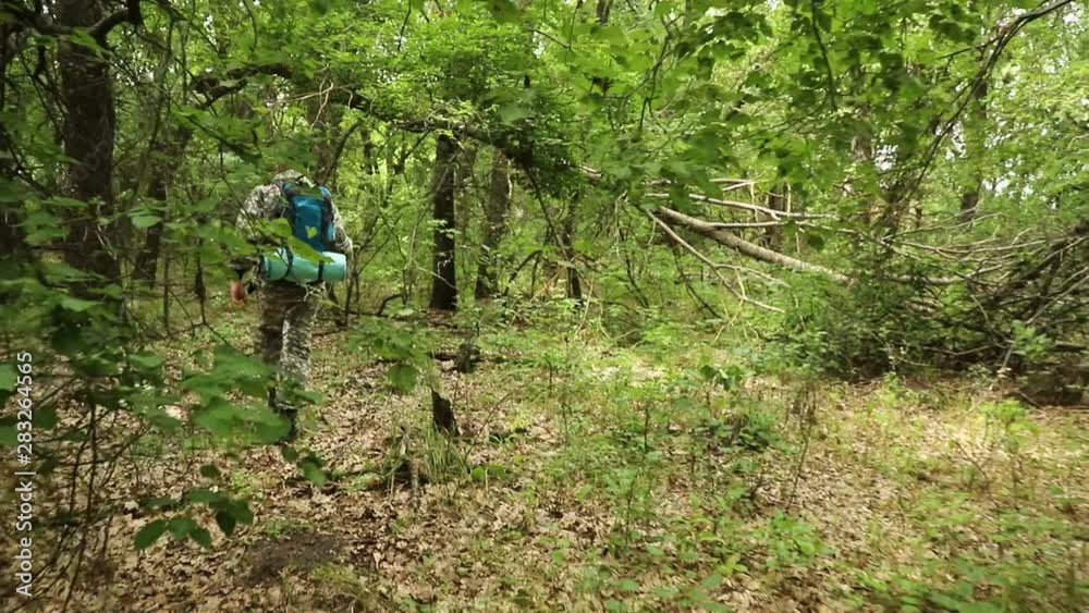 The camera moves behind a caucasian traveler in a camouflage cap and a backpack walking through a dense green forest The camera moves behind a caucasian traveler in a camouflage cap and a backpack walking through a dense green forest