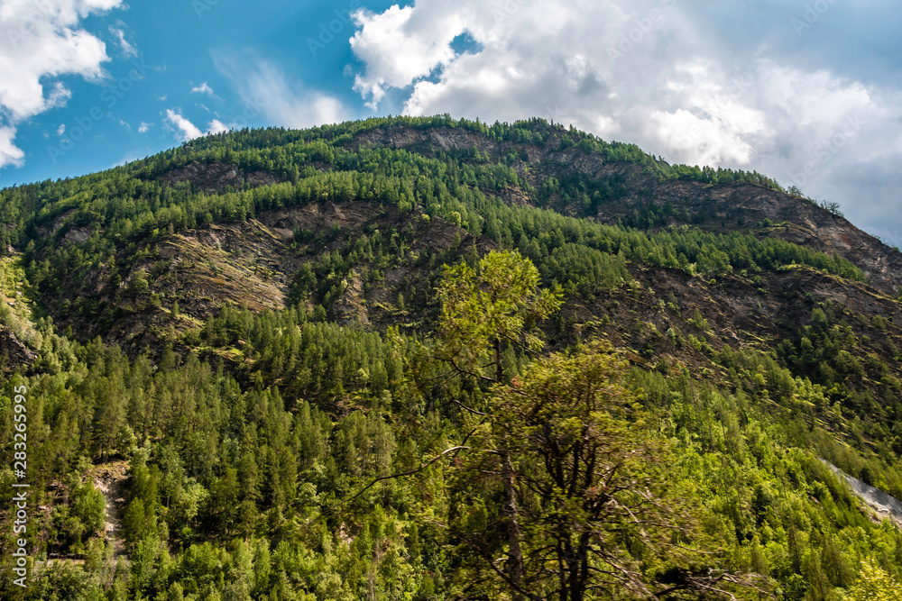 Fototapeta premium View of rock mountain rock cliff with forest