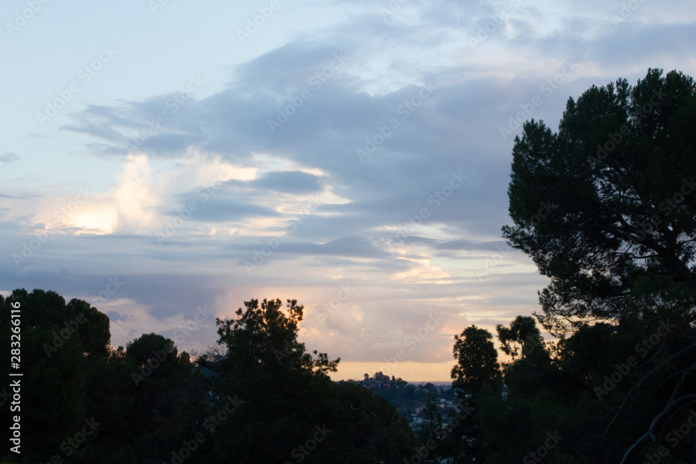 pine tree branches and foliage with distant hillside homes and sunset cloud with bright golden glow