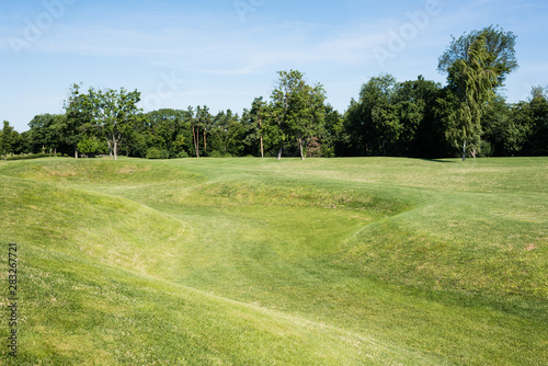 trees with green leaves on grass against blue sky in park