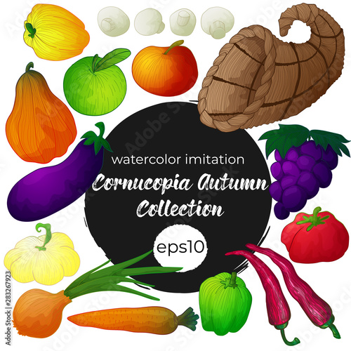 Vector hand draw colorful autumn horn of plenty with vegetables set on white background for harvest festival or thanksgiven day. Isolated art of cornucopia and fall maple leaves and grape and veggies