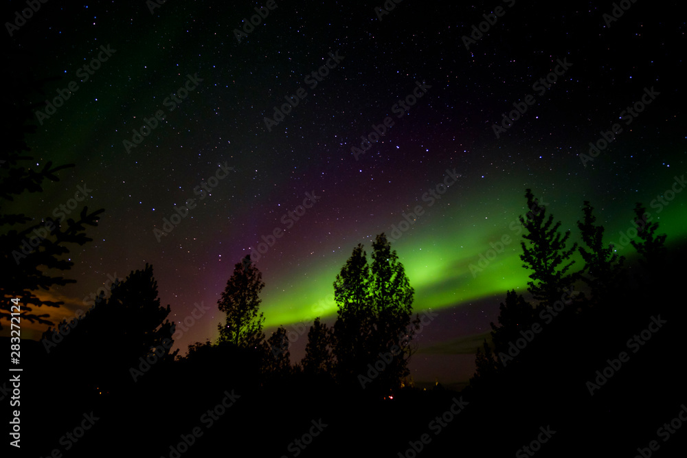 Colorful northern lights (Aurora Borealis), Iceland