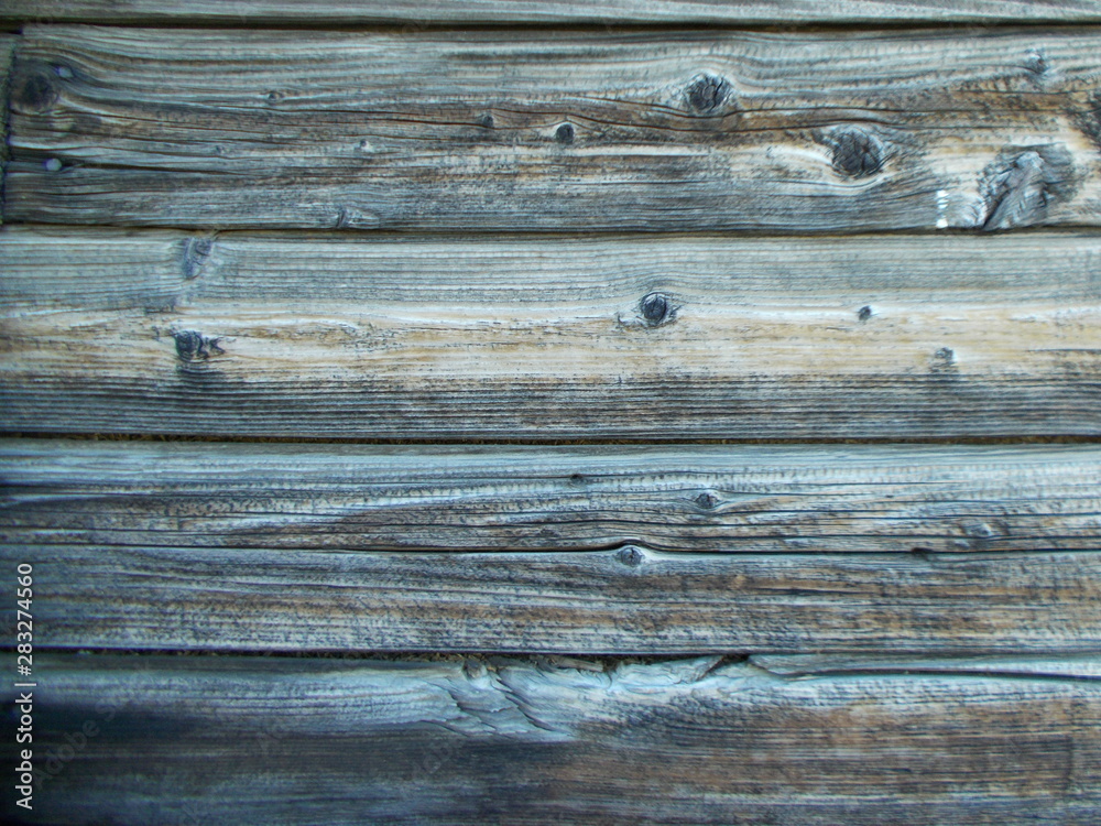 Obraz premium Wood texture for your design