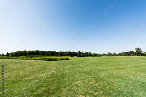 blue sky in green park with trees in summertime photo