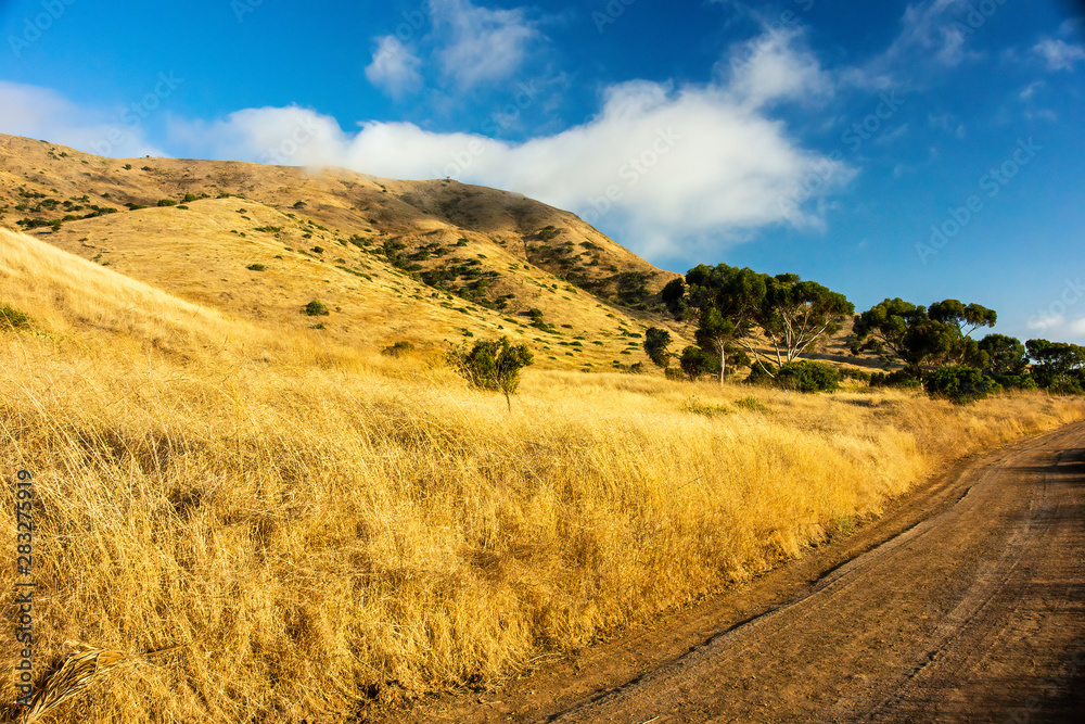 Dry Grassy Hillside Next to Dirt Road