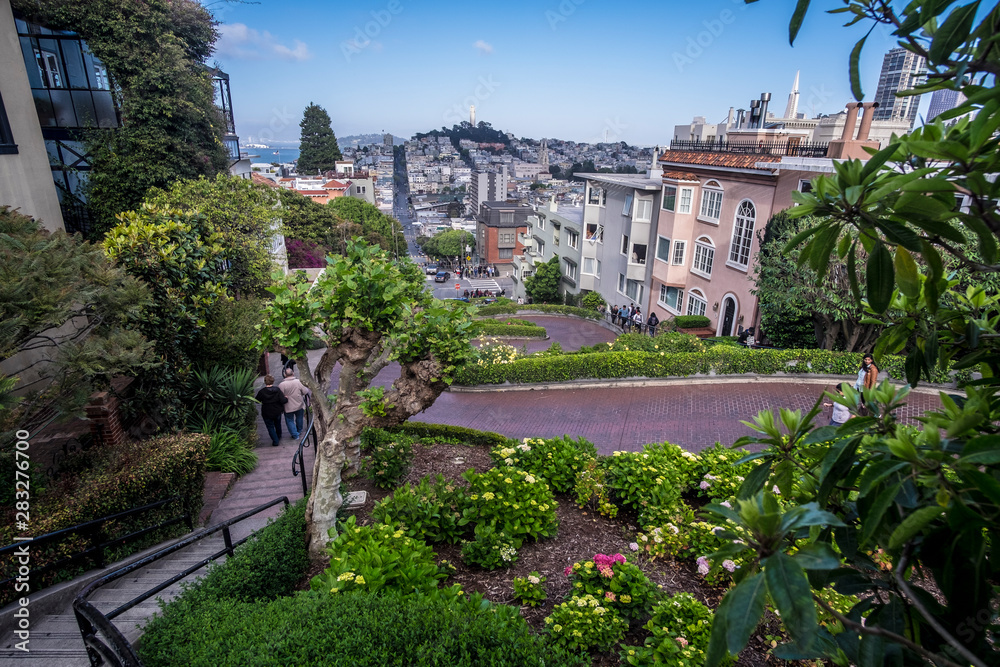Famous Lombard Street in San Francisco, California, USA
