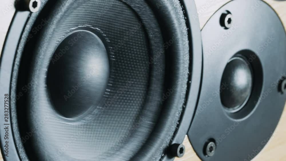 Close up of Bass speaker membrane vibration.