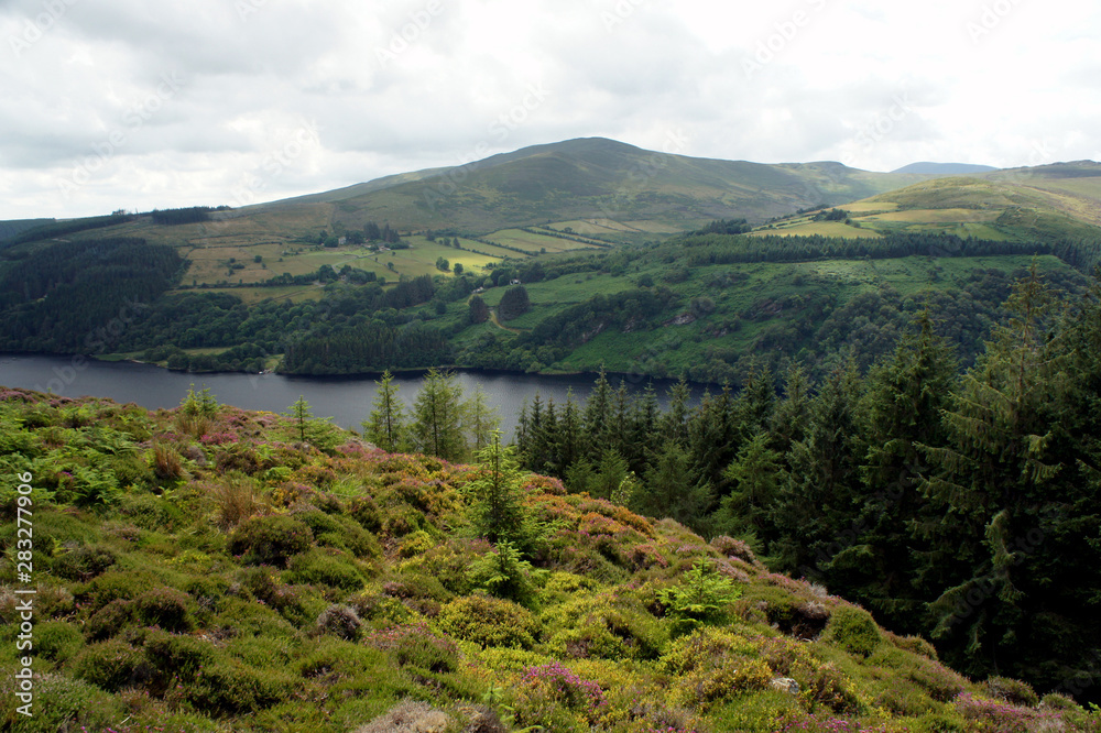 Summer in the Wicklow Mountains.Ireland.