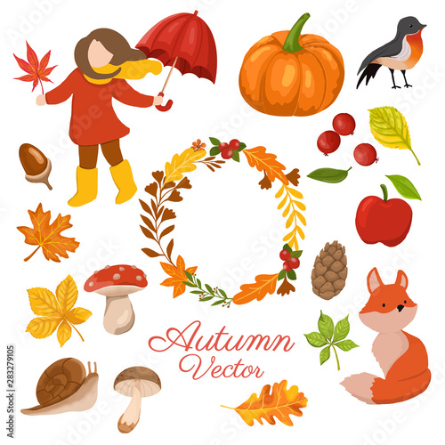 Autumn elements collection ...