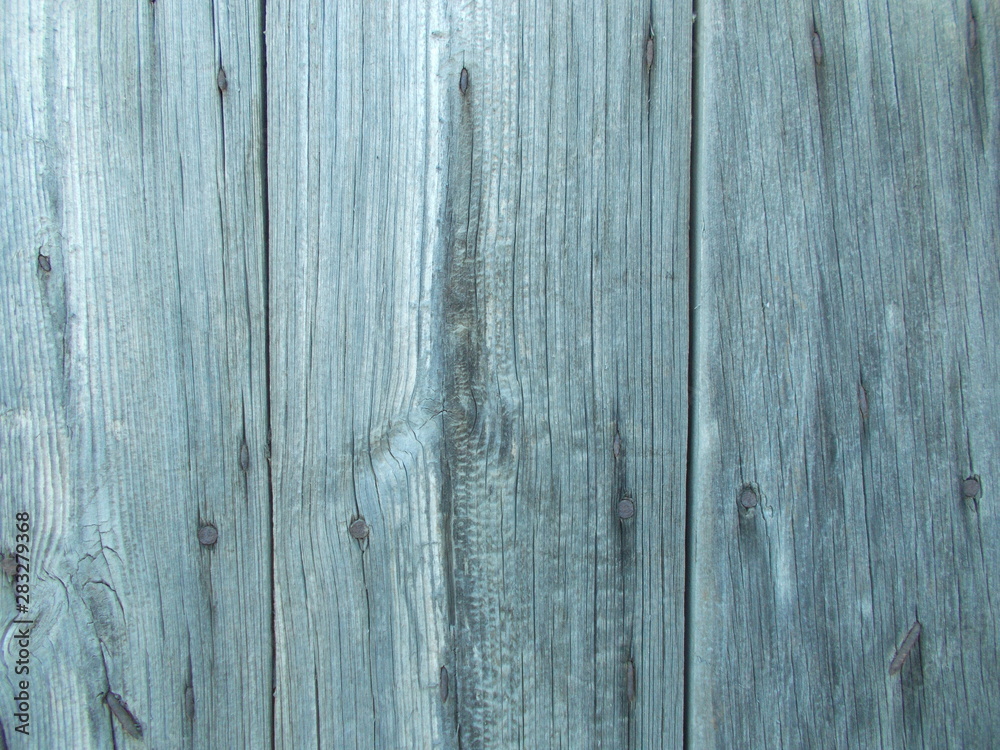 Obraz premium Wood texture for design