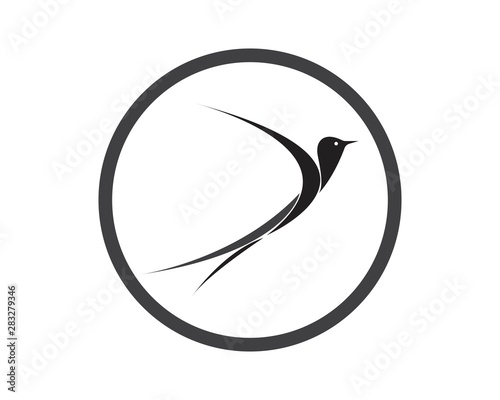 Bird Logo Template vector illustration