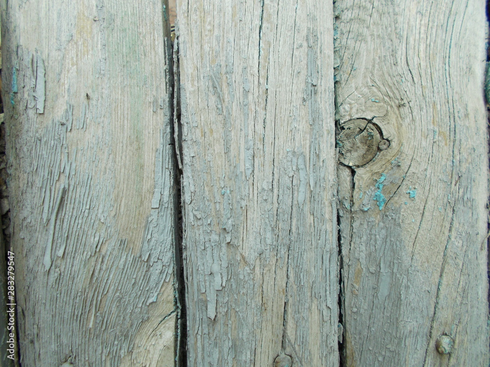 Obraz premium Wood texture for design