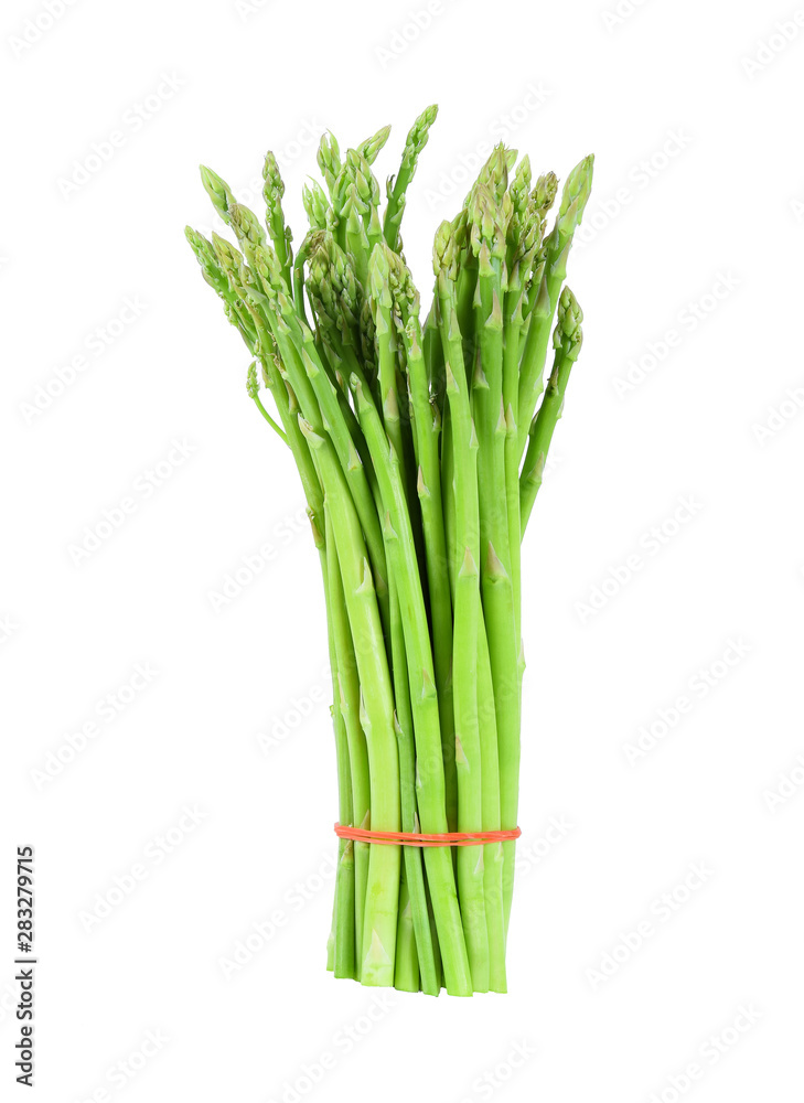 asparagus isolated on a white background asparagus isolated on a white background