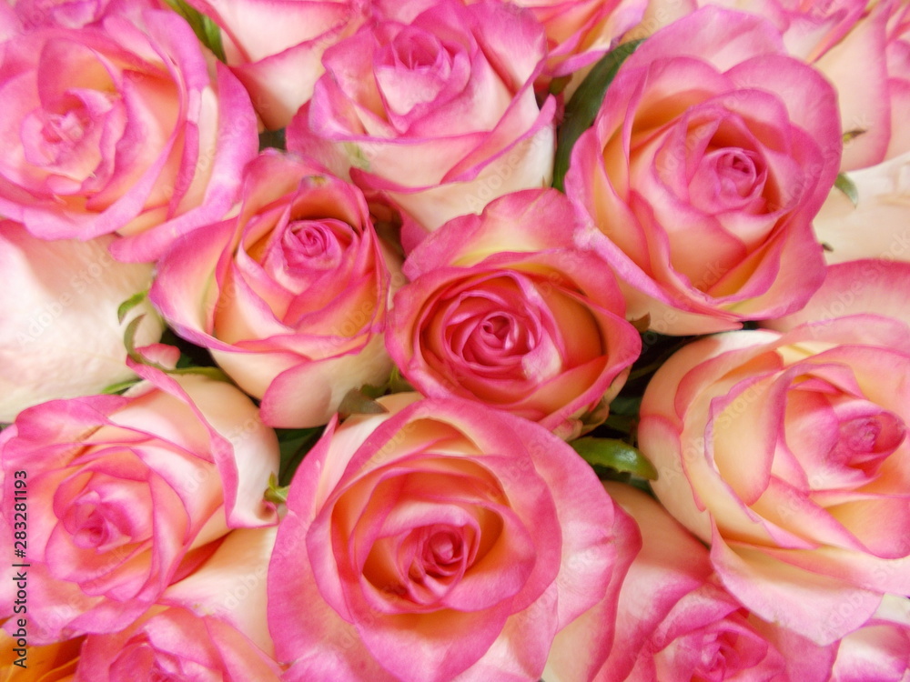  Bouquet of bright beautiful flowers