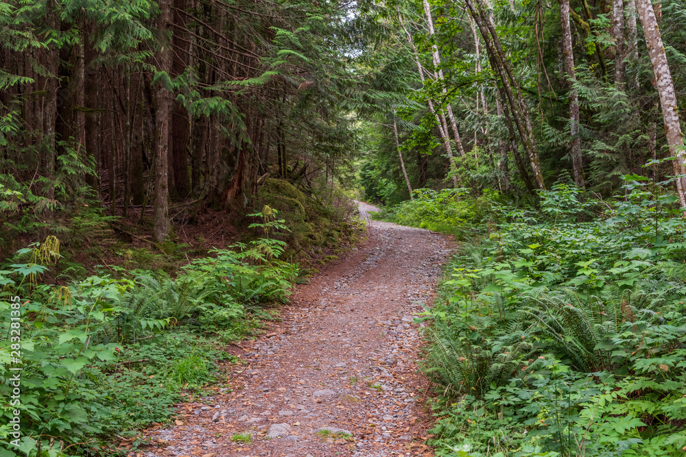 View at Mountain Trail in British Columbia, Canada. Mountains Background. DeBeck Trail.