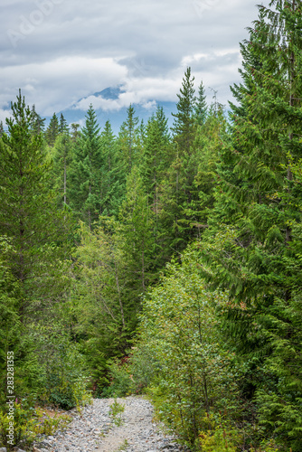 View at Mountain Trail in British Columbia, Canada. Mountains Background. DeBeck Trail.