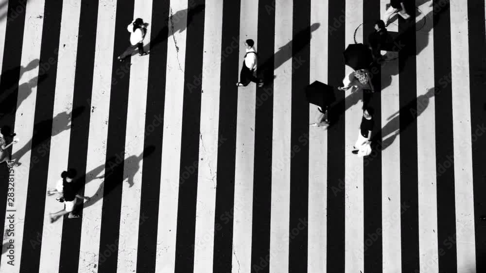 4K Monochrome high Angle aerial view wide shot of pedestrian man and woman tourist walking crossing the street crosswalk downtown district intersection road in summer at Ginza, Tokyo, Japan