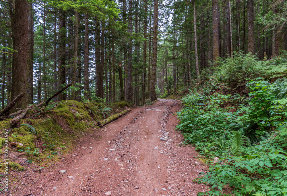 View at Mountain Trail in British Columbia, Canada. Mountains Background. DeBeck Trail.