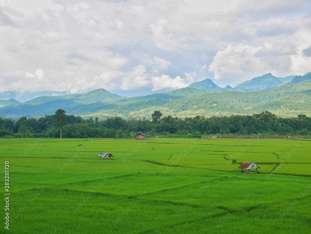 Rice field and hills in Nan province, Thailand.