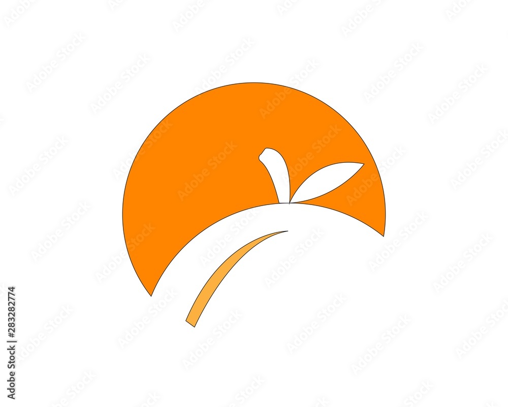 Orange logo design. Vector illustration Orange logo design. Vector illustration
