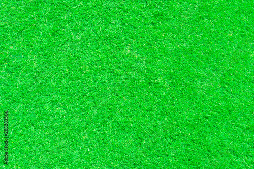 Top view of green grass texture