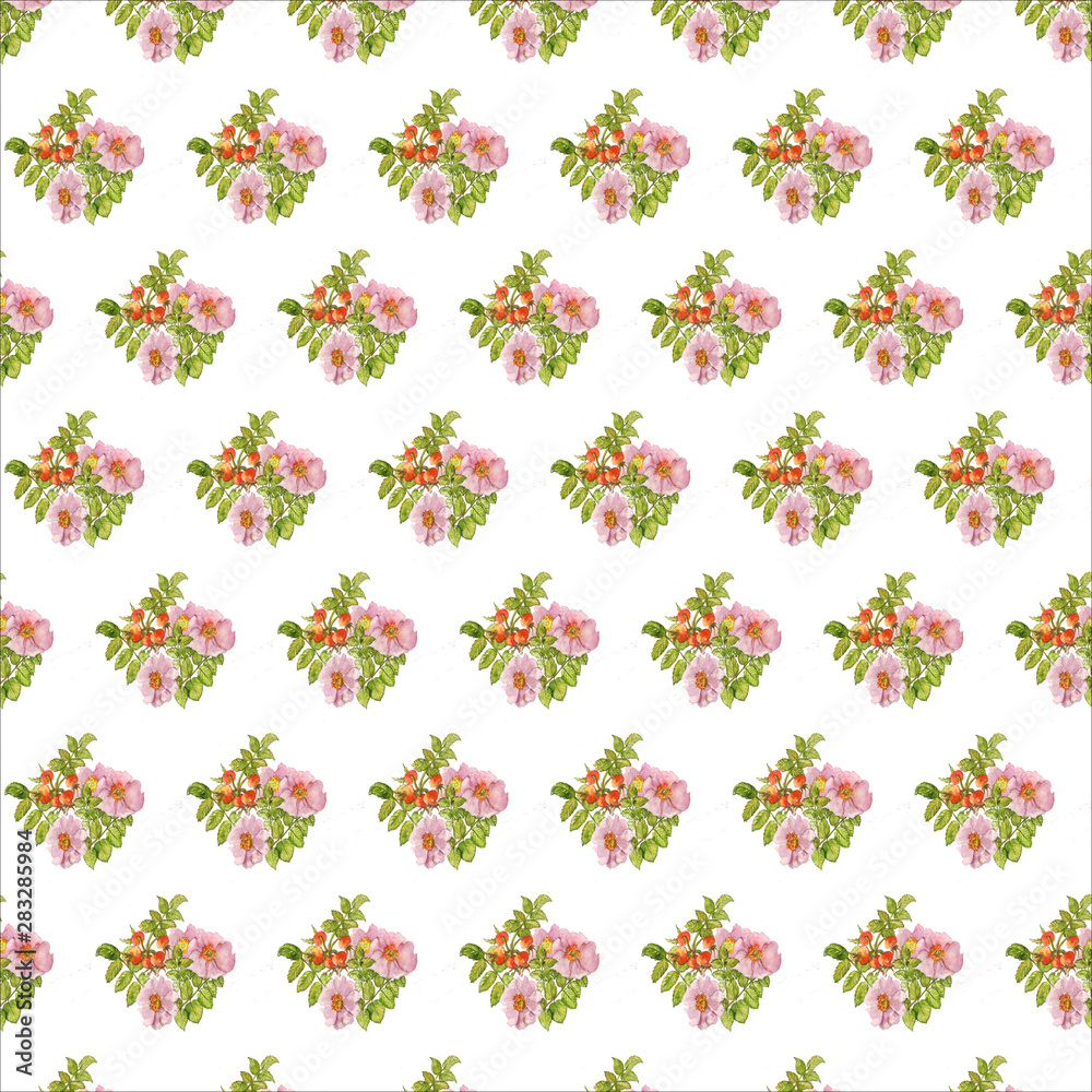  rosehip inflorescence watercolor seamless pattern with berries and leaves on a white background