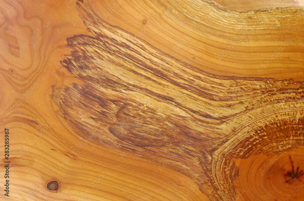 Obraz premium Wood texture. Cherry tree