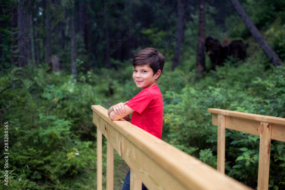 Cute boy stands on a bridge against the background of the forest. Cute boy stands on a bridge against the background of the forest.
