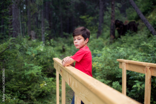Cute boy stands on a bridge against the background of the forest.