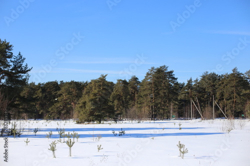 winter landscape with lake and trees