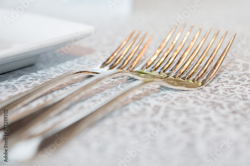 Close up of Silverware set on Luxury Dining Table