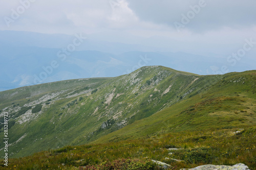 Fototapeta Naklejka Na Ścianę i Meble -  view of ridge
