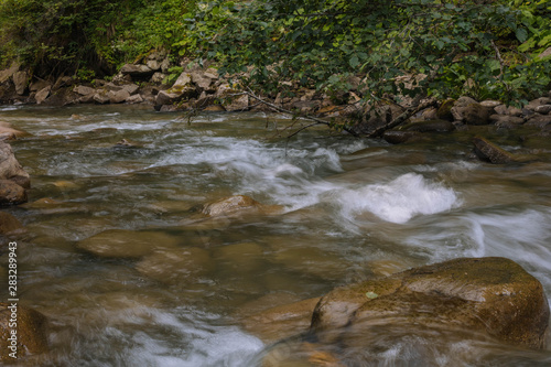 stream in the forest