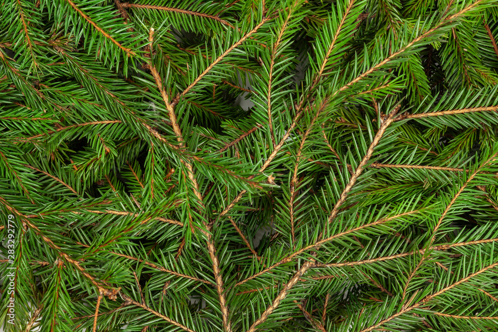 New Year theme, background from green spruce branches. New Year theme, background from green spruce branches.
