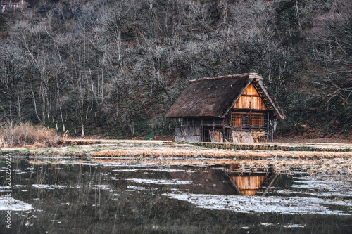 old Japanese traditional famer's house with thatched roof against dried tree at Shirakawago, gifo, Japan. The very famous heritage sightseeing photo