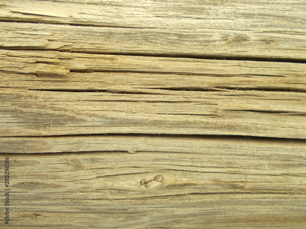 Wood texture for your design Wood texture for your design