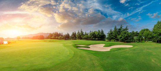 Green grass and woods on a golf field