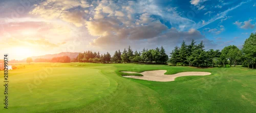 Obraz Zielona trawa i lasy na polu golfowym