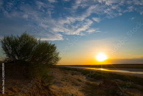 Summer dusk in sandy desert