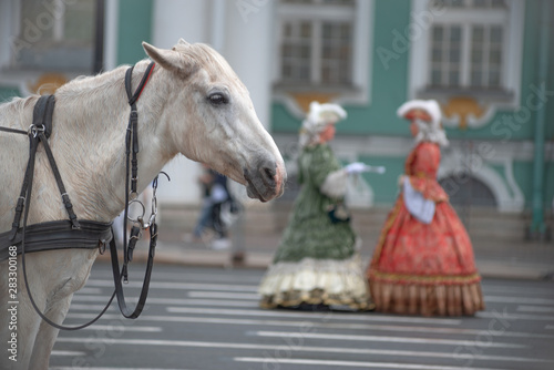 horse on the square in St. Petersburg.