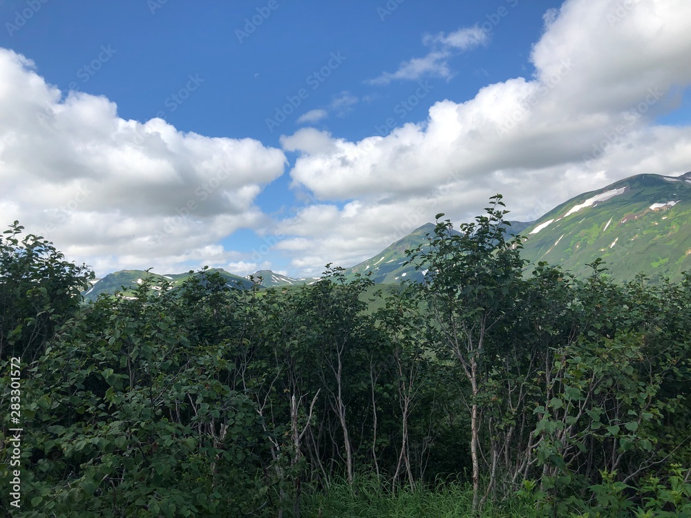 Fototapeta premium view of mountains