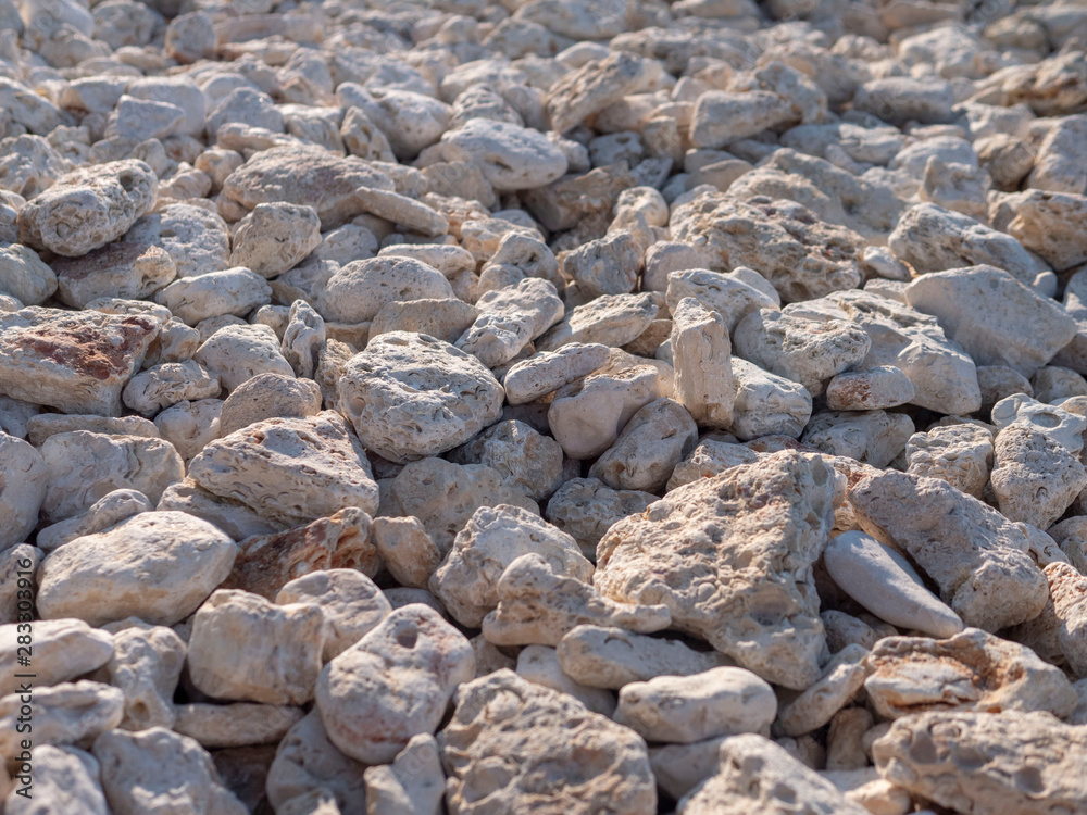 Sea pebbles from white shell rock. Background. Sea pebbles from white shell rock. Background.