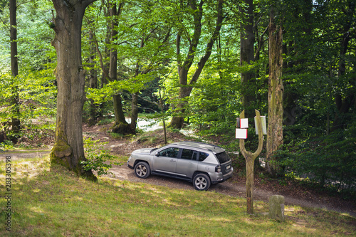 Grey SUV car off road in summer forest landscape, hiking trail