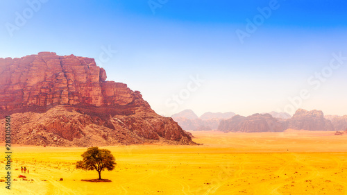 Lonley Tree at Lawrence Source