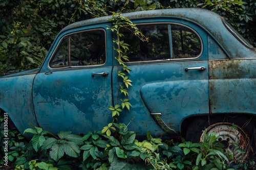 The old abandoned car was overgrown with vegetation