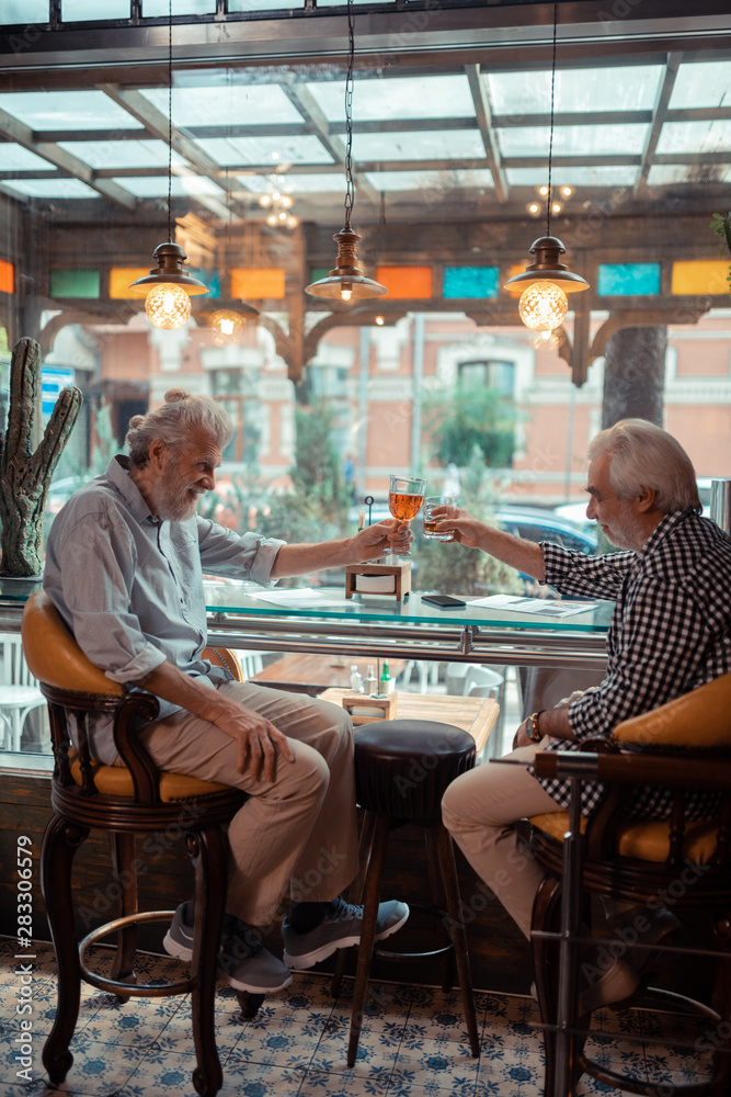 Two grey-haired retired good-looking men drinking alcohol